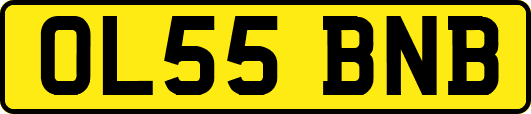 OL55BNB