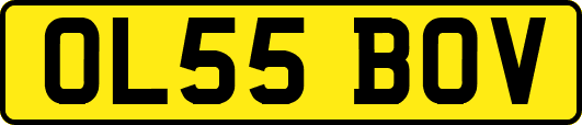 OL55BOV