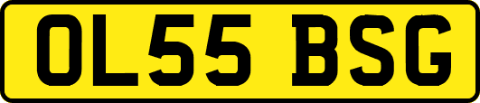 OL55BSG