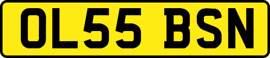 OL55BSN