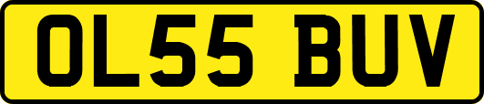OL55BUV