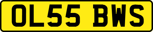 OL55BWS
