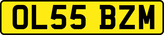 OL55BZM