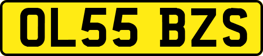 OL55BZS