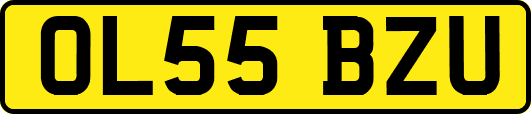OL55BZU