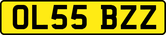 OL55BZZ