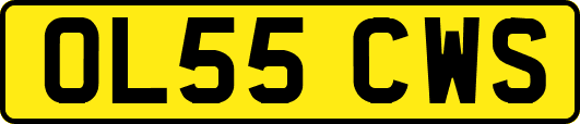 OL55CWS