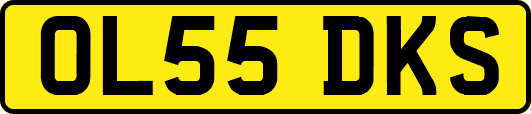 OL55DKS