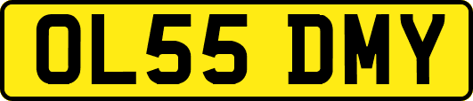 OL55DMY