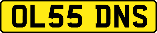 OL55DNS
