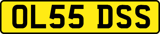 OL55DSS