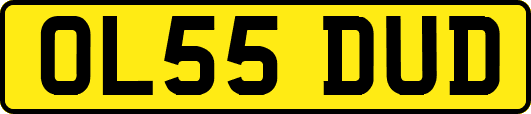 OL55DUD