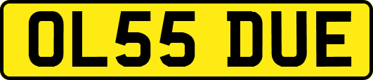 OL55DUE