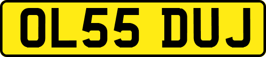 OL55DUJ