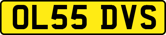 OL55DVS