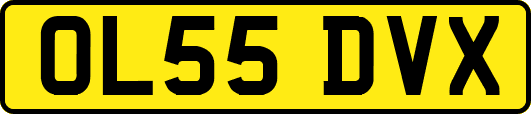 OL55DVX