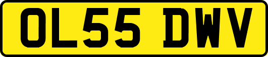 OL55DWV