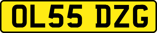 OL55DZG