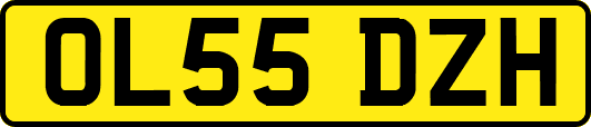 OL55DZH