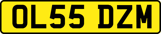 OL55DZM