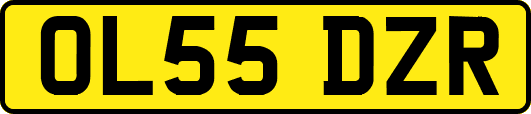 OL55DZR
