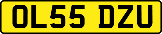 OL55DZU