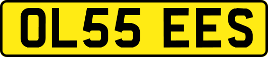 OL55EES