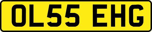 OL55EHG