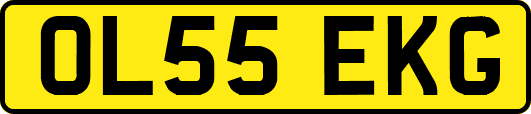OL55EKG