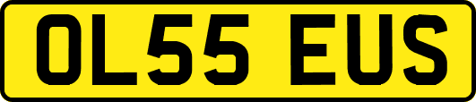 OL55EUS