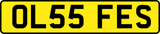 OL55FES