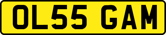 OL55GAM