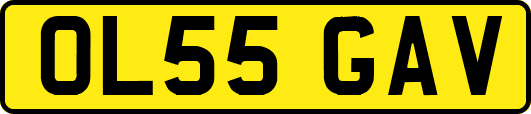 OL55GAV