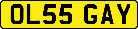 OL55GAY