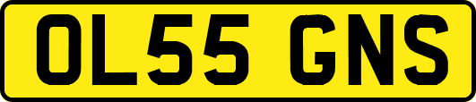 OL55GNS