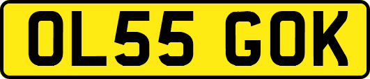 OL55GOK