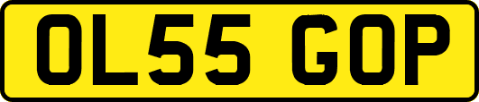 OL55GOP