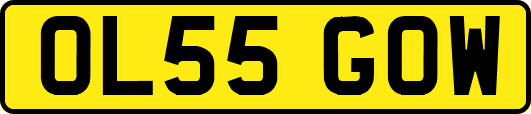 OL55GOW