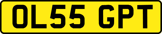 OL55GPT