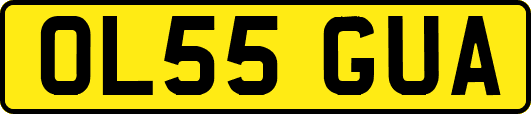 OL55GUA