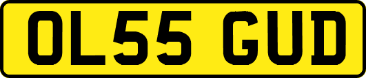 OL55GUD