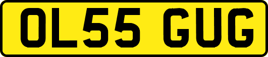 OL55GUG