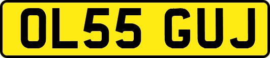 OL55GUJ