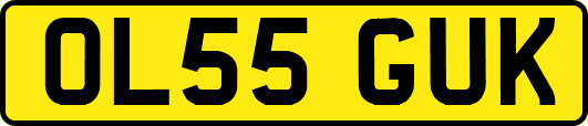 OL55GUK