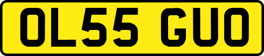 OL55GUO