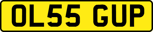 OL55GUP