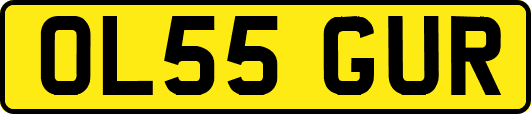 OL55GUR