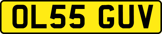 OL55GUV