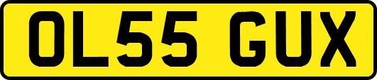 OL55GUX