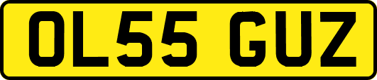 OL55GUZ